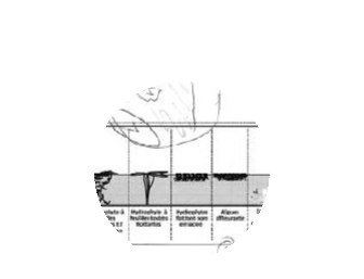 Pratiquer la géographie environnementale sur un terrain de thèse : un apprentissage réciproque ?